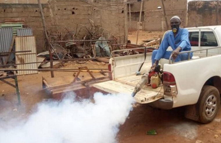 Dengue in Mali: rising cases and prevention tips