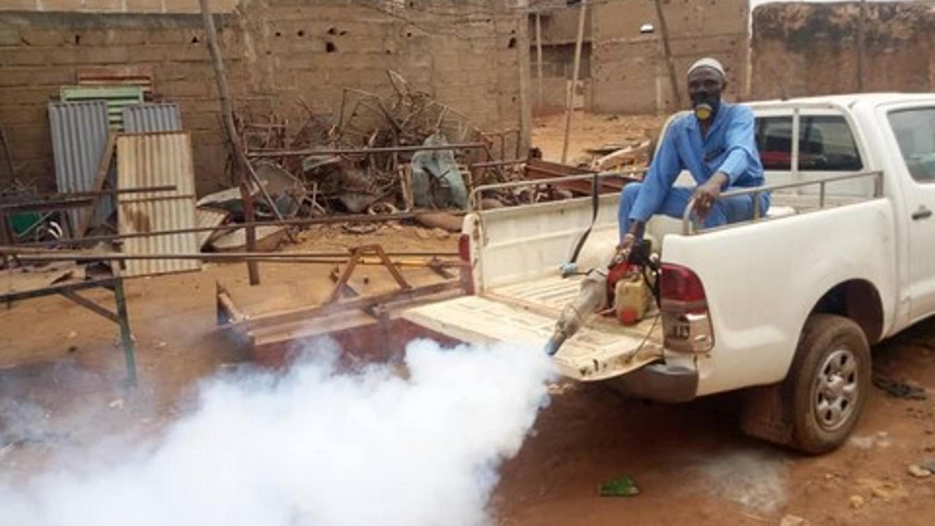 Dengue in Mali: rising cases and prevention tips