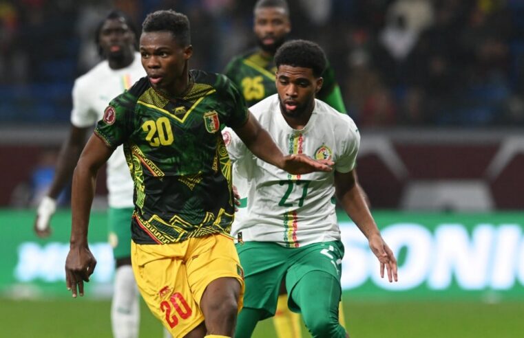 New Mali football coach after CAN disappointment