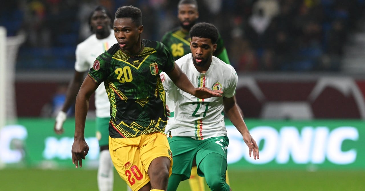 New Mali football coach after CAN disappointment