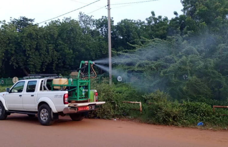 Dengue outbreak in Burkina Faso: rising cases and health measures