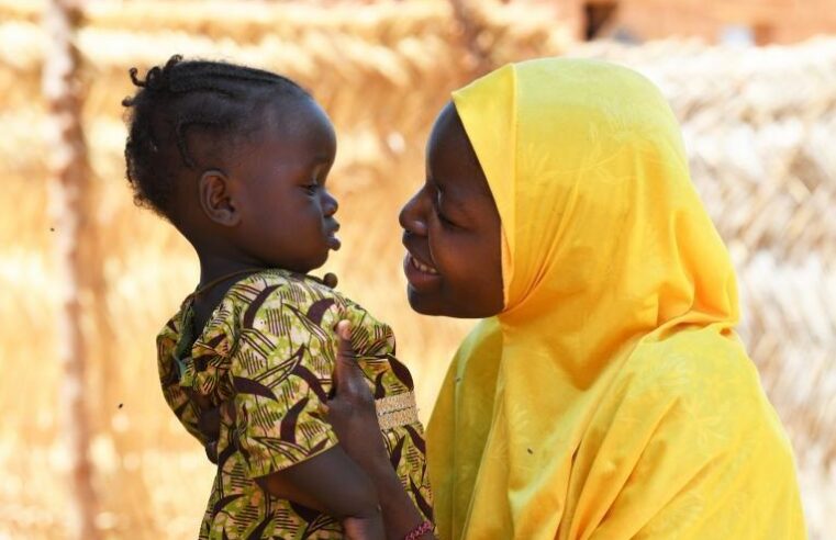Optimiser le financement de la santé au Niger : vers une meilleure coordination