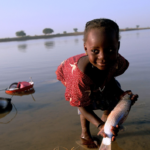 The erosion of judicial accountability across the Sahel