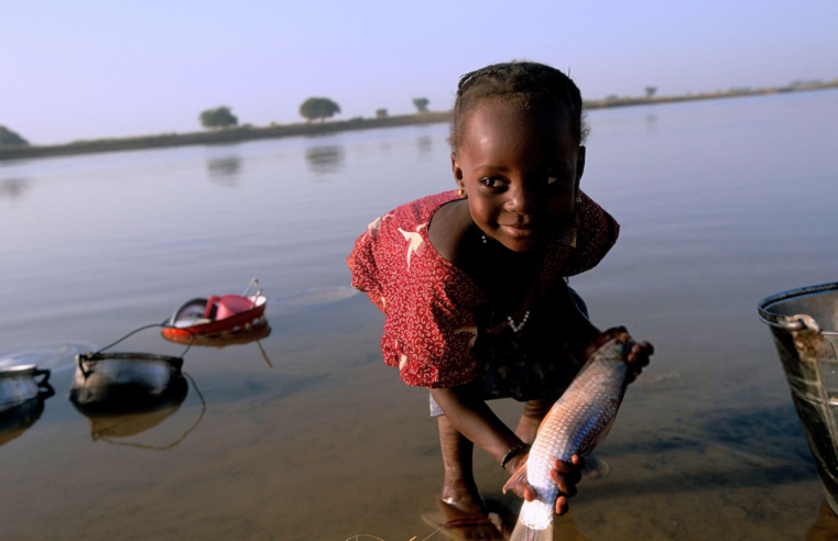 Niger achieves historic onchocerciasis elimination, a first for the african region