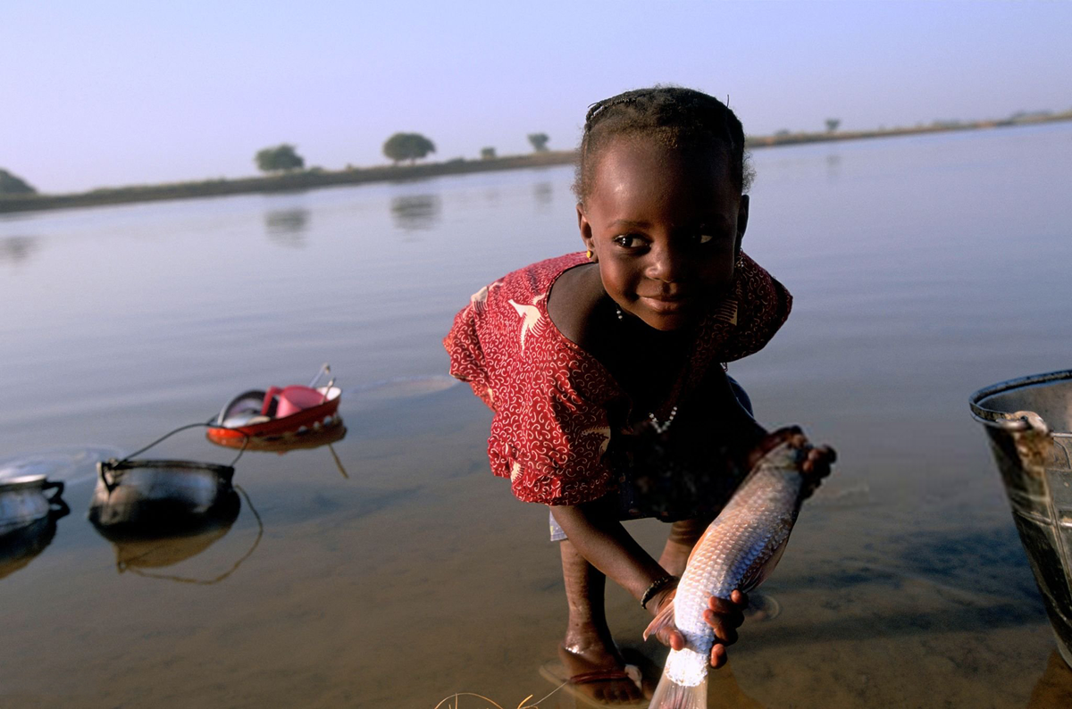 Niger achieves historic onchocerciasis elimination, a first for the african region