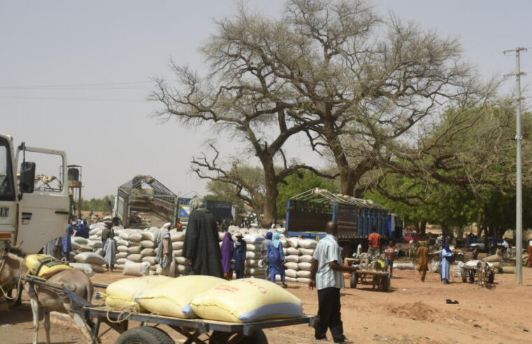Escalating displacement in Niger’s western region amid armed threats