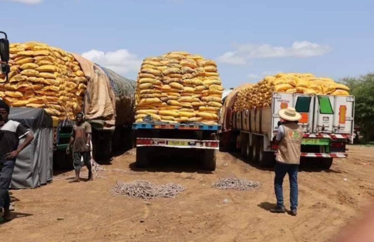 Burkina Faso’s humanitarian dependence despite sovereignty claims