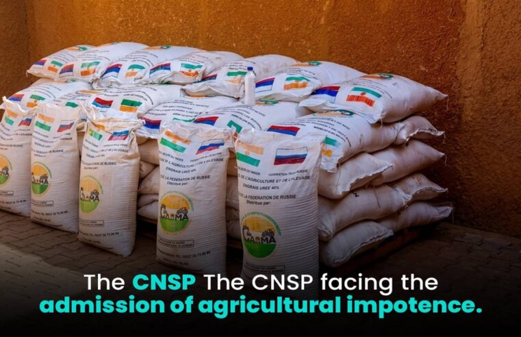 Niger’s strategic pivot: balancing food aid and agricultural sovereignty