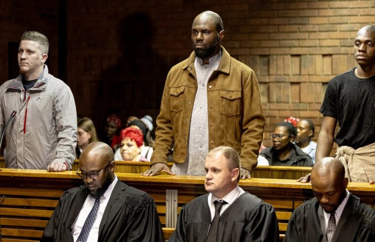 Kémi séba’s detention in south africa: a web of political claims and controversial alliances