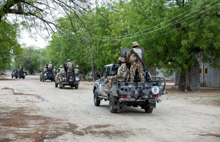 Tragedy in western Niger as thirty-one villagers lose their lives in armed assault