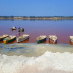 Algeria and Chad boost energy and infrastructure ties with landmark agreements