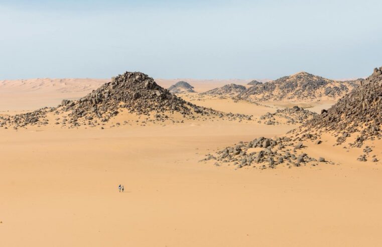 Mali’s government accuses France of backing tuareg rebels