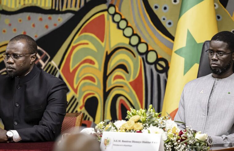 Senegal’s executive branch: the sonko-diomaye partnership faces internal rifts