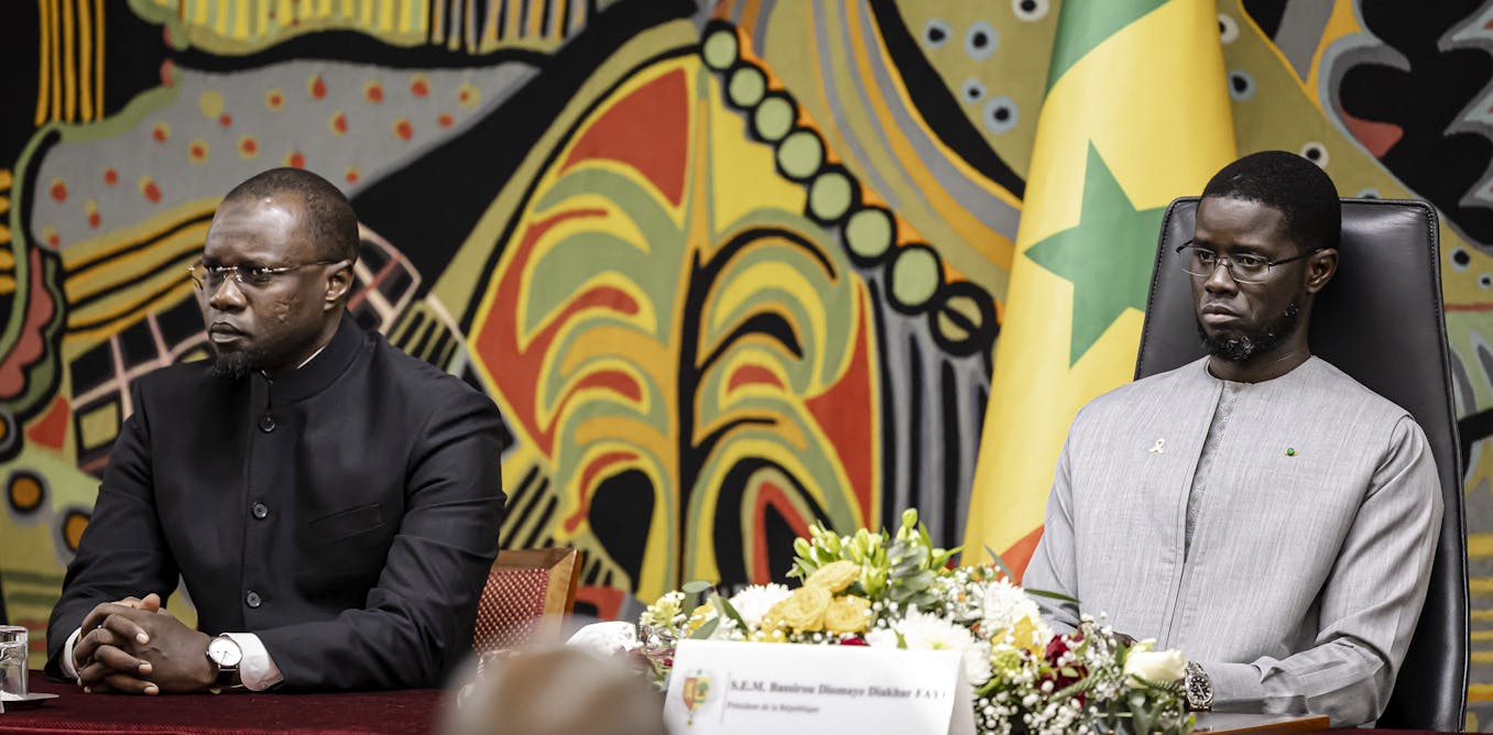 Senegal’s executive branch: the sonko-diomaye partnership faces internal rifts