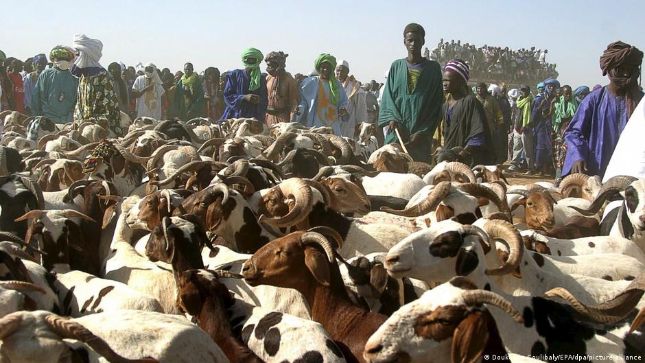 Mali military secures sheep convoys ahead of Tabaski in Bamako