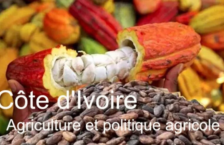 Côte d’Ivoire agriculture and policy driving economic growth