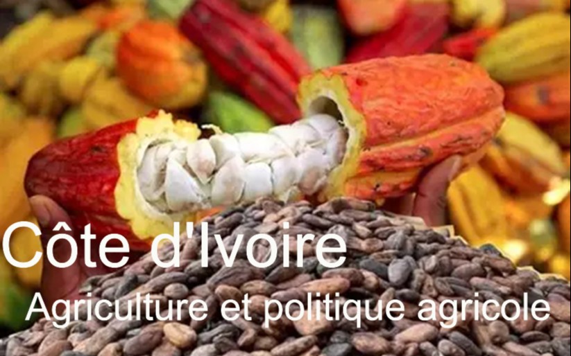 Côte d’Ivoire agriculture and policy driving economic growth