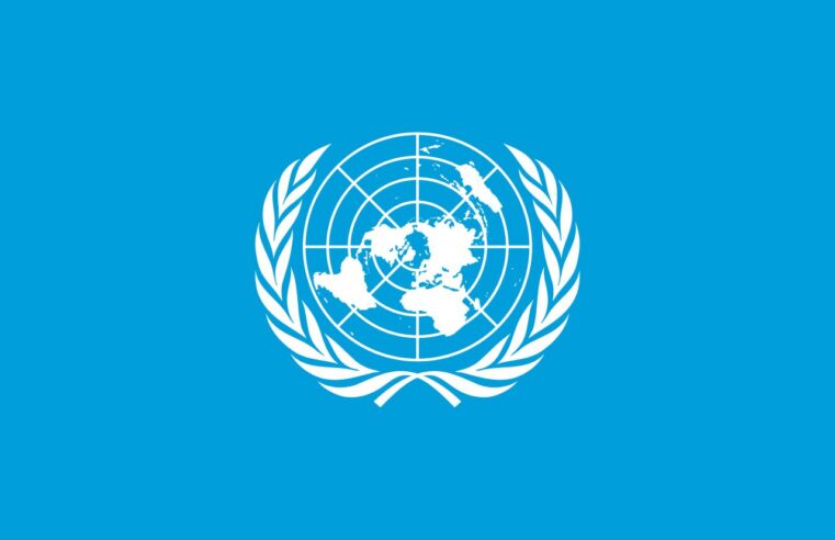Un security council denounces Mali terrorist assaults