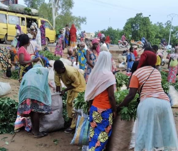 N’Djamena tackles urban chaos amid deep-rooted poverty
