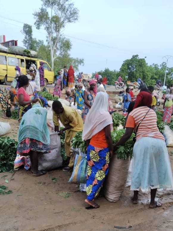 N’Djamena tackles urban chaos amid deep-rooted poverty