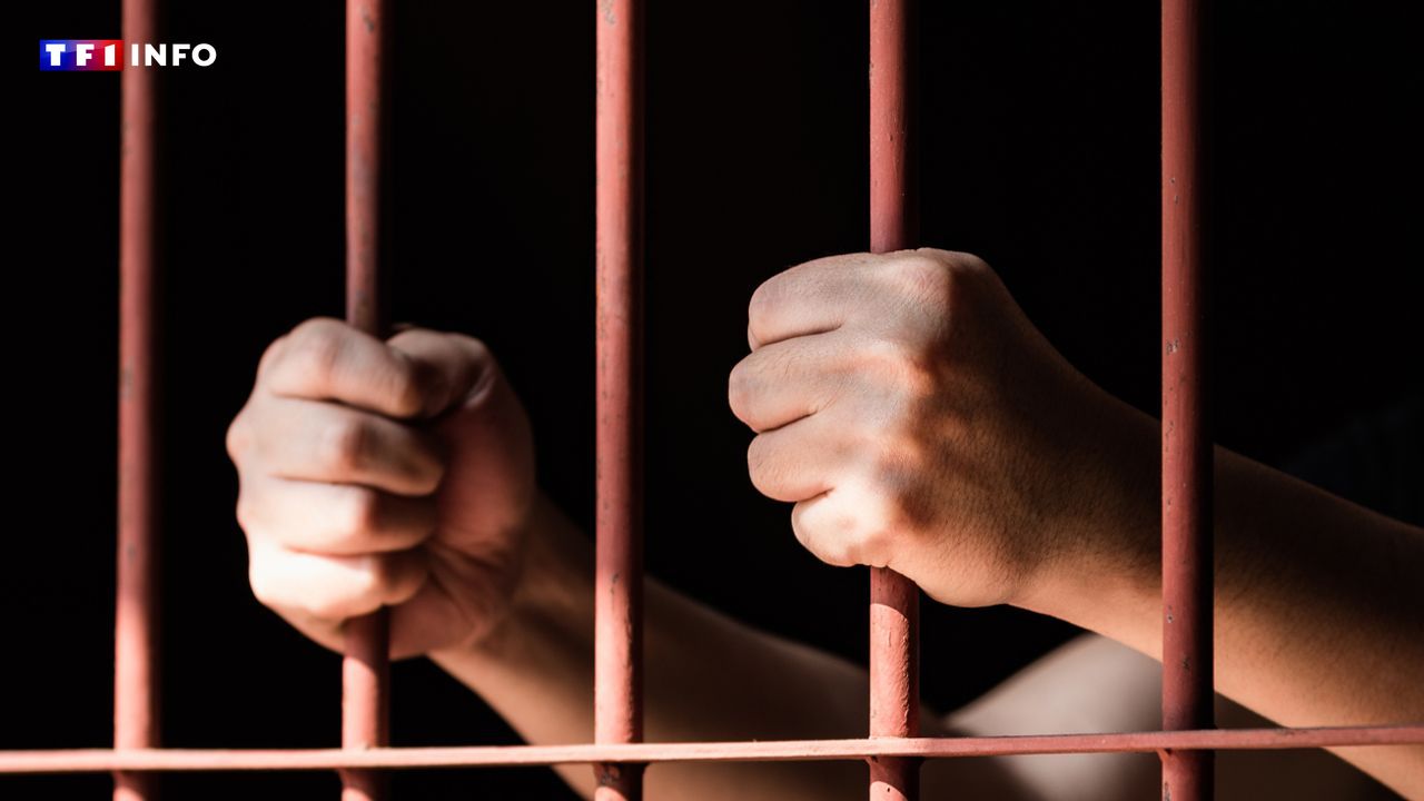 French citizen detained in Sénégal amidst strict anti-LGBT+ legislation