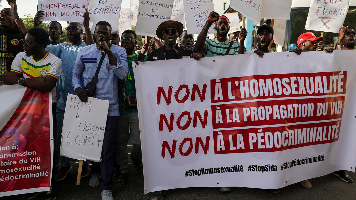 French national detained in Senegal over homosexuality amid anti-lgbt crackdown