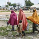 Islamic state in the Sahel: enduring influence in northern Mali despite JNIM focus