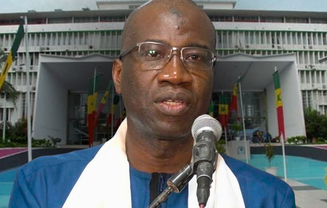 Senegal tightens anti-LGBTQ+ laws: activist linked to Sonko detained