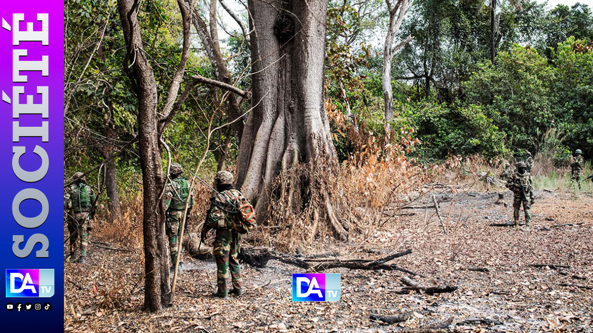 Casamance conflict rebels weakened by cannabis crackdown in Senegal