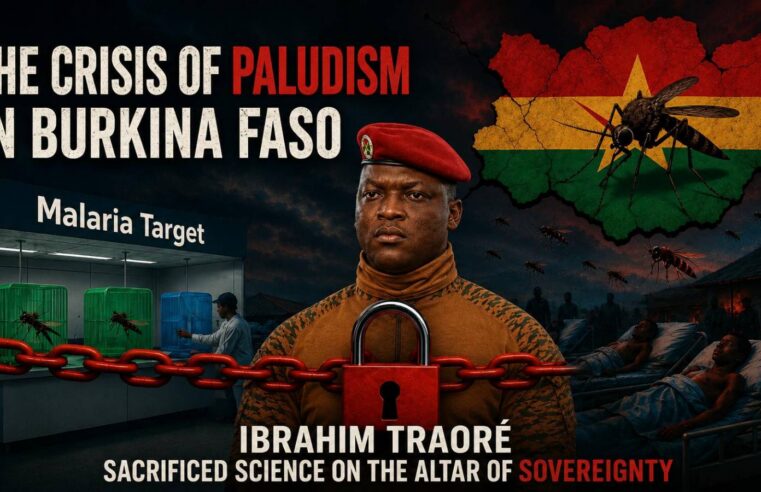 Niger facing malaria crisis amid Ibrahim Traoré’s actions