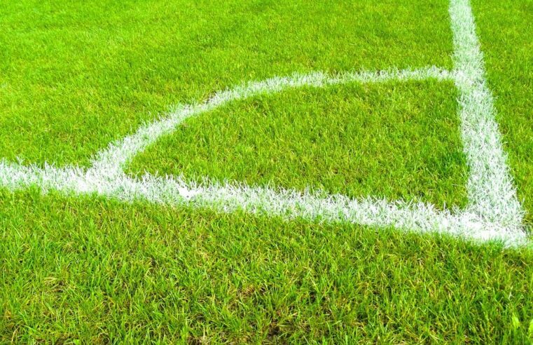 Nice saint-etienne face off in decisive promotion playoff this friday