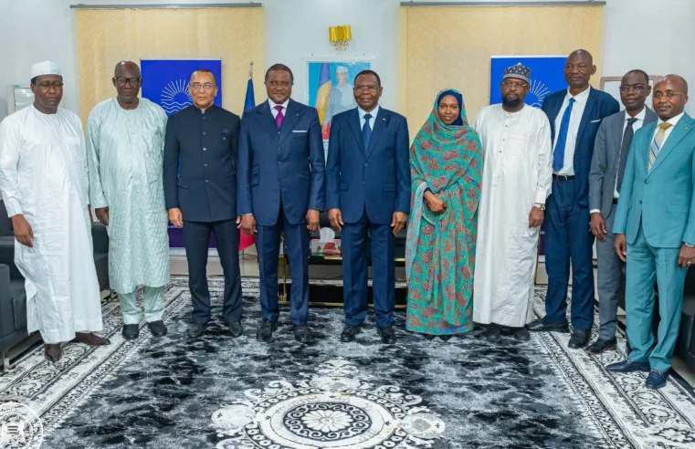 Cameroon and Chad boost trade corridor efficiency