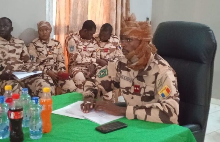 Joint Chad-central african republic forces boost border security