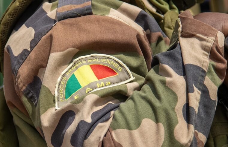 Mali conflict: army and allied militias accused of civilian massacres in Ségou