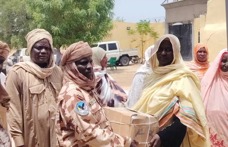 Solidarity from Lac women against Boko Haram threats