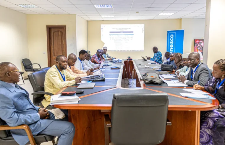 UNESCO Yaoundé hosts Chad delegation to boost digital education