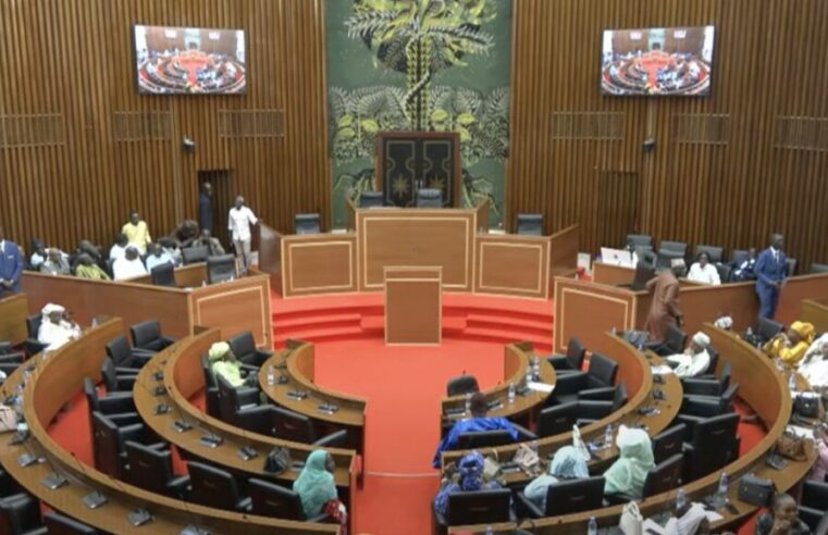 Senegal’s political drama: ousmane sonko’s assembly bid sparks “institutional coup” claims