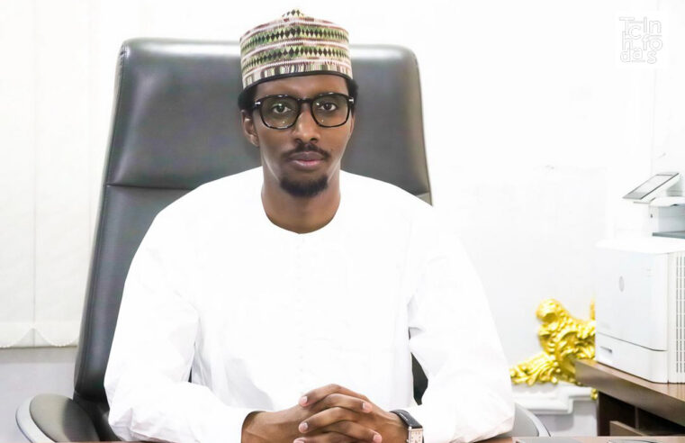 N’Djamena refutes un allegations regarding Boko Haram airstrikes