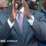 CEDEAO and Niger, Burkina Faso, Mali: the limits of diplomacy in the Sahel