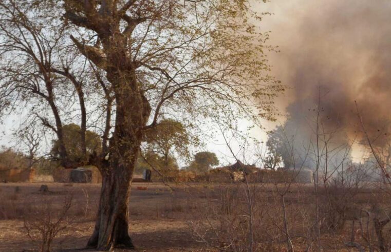 The escalating struggle for control in Nigeria’s sambisa forest
