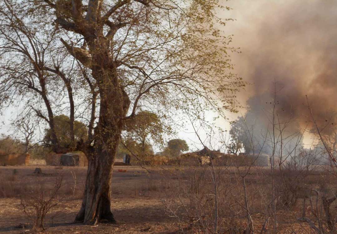 The escalating struggle for control in Nigeria’s sambisa forest