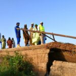 Laborex Tchad marks three decades of dedicated service to chadian healthcare