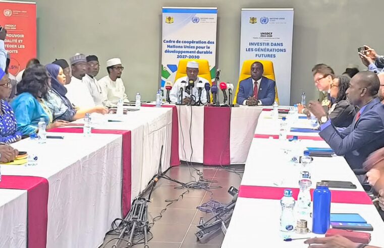 Tchad uno committee wraps up 2024 development framework cycle