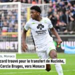 Nantes supporters condemn violent pitch invasion during fc nantes vs toulouse match