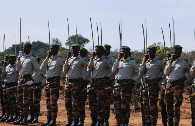 The Sahel’s escalating instability: a european concern