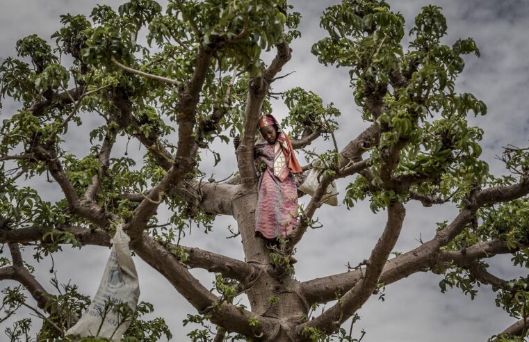 Niger’s deepening economic crisis: daily struggles in a generation’s worst downturn
