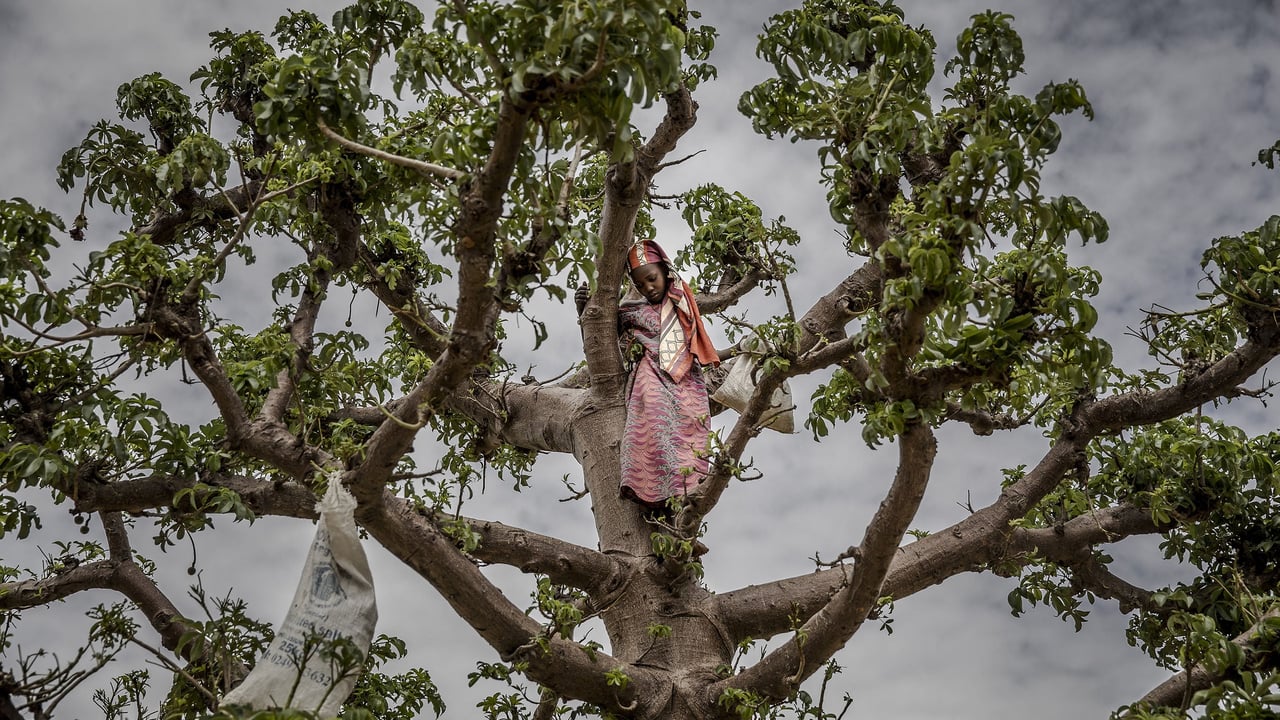 Niger’s deepening economic crisis: daily struggles in a generation’s worst downturn