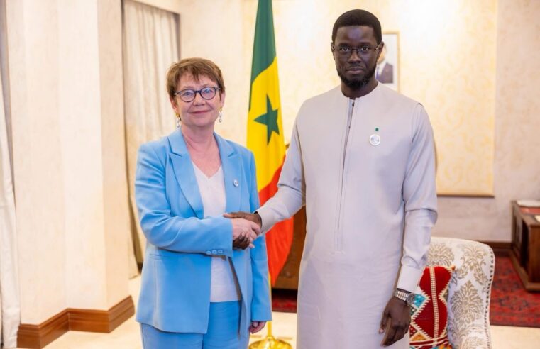 Senegal: BERD expands projects with Diomaye Faye amid water and energy push