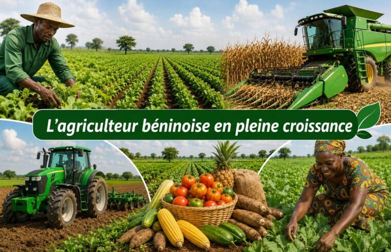Bénin: how agricultural reform is reshaping the national economy