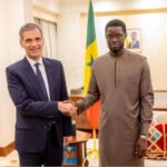 Joint Chad-central african republic forces boost border security